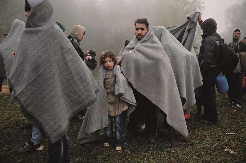 Begunci in migranti na travniku, zelena meja, Rigonce, 25. okt. 2015, begunci Slovenija © Borut Krajnc